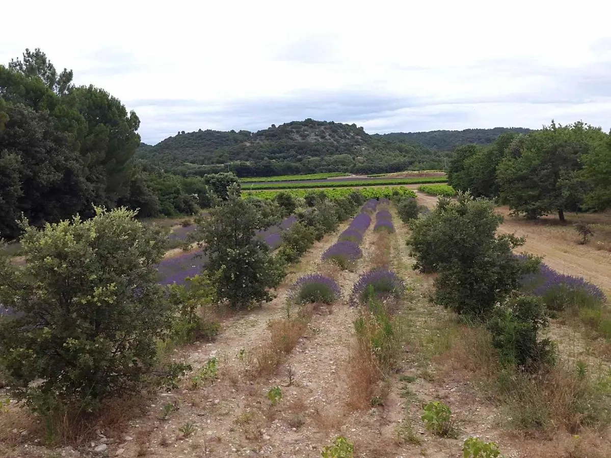 Chambre d'hôtes en provence Tulette